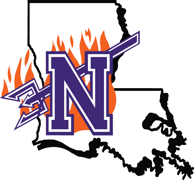 Northwestern State Demons 2000-2007 Primary Logo iron on transfers for clothing